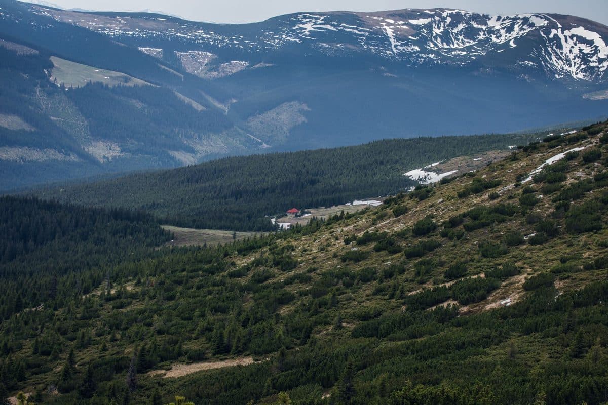 Forested mountains near Voineasa, in Vâlcea